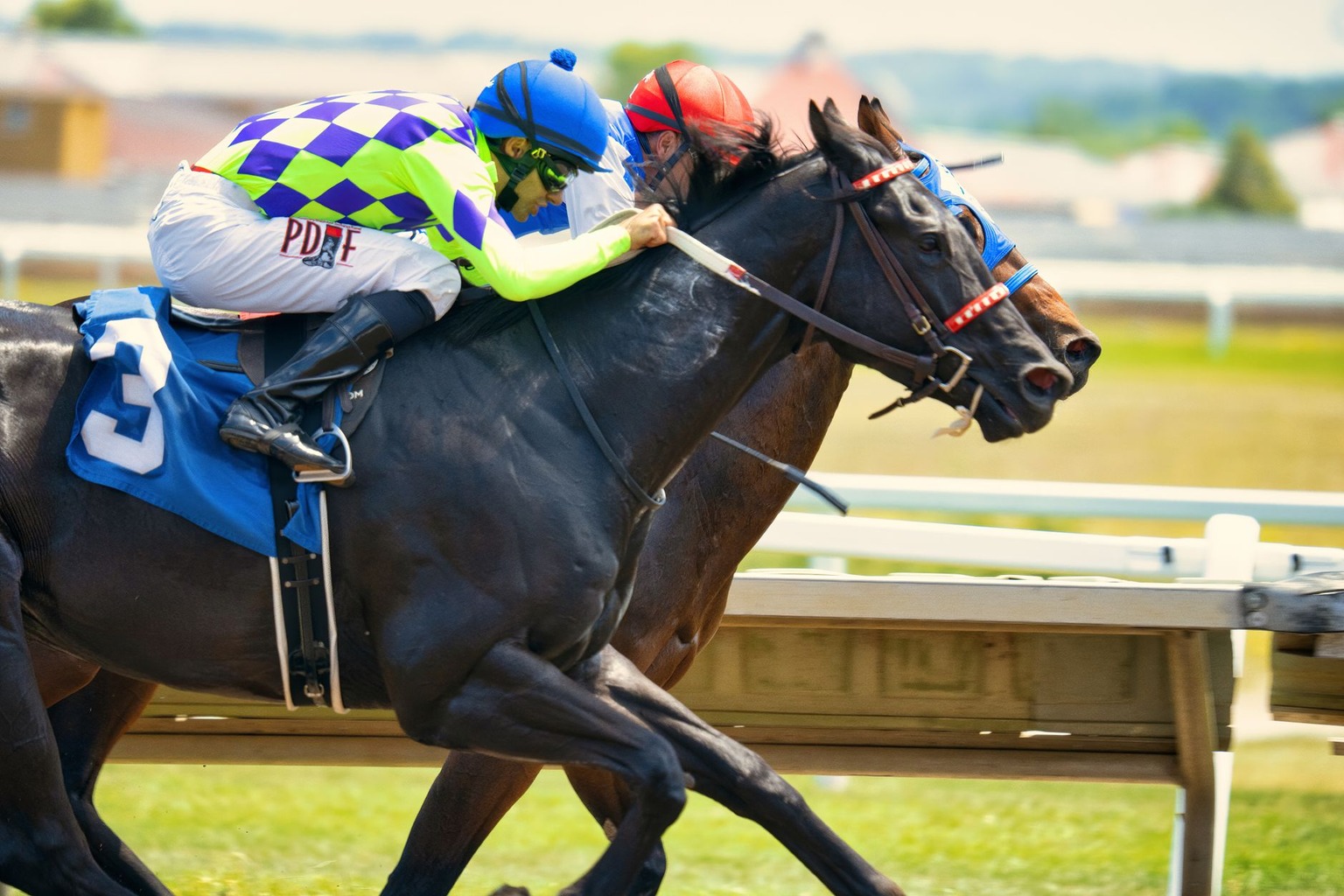 Apostas em corridas de cavalos: Onde e como começar — Dicas para analisar corridas e aumentar suas chances Apostas em corridas de cavalos: Onde e como começar — Dicas para analisar corridas e aumentar suas chances